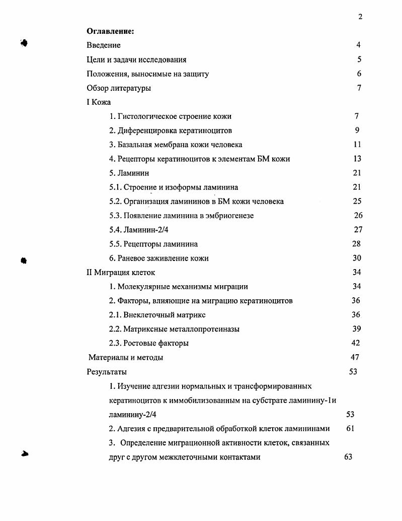 "3. Базальная мембрана кожи человека 