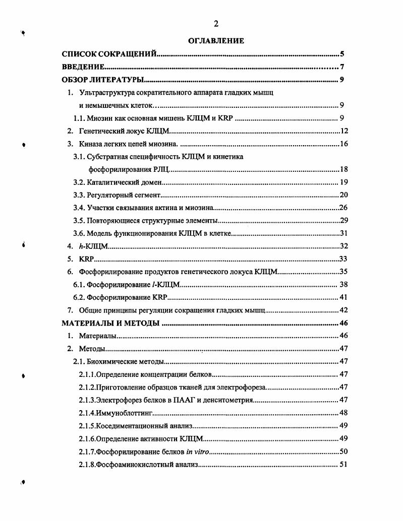 "ВВЕДЕНИЕ имиммммимамммм1мммммимммимитммммммимм 