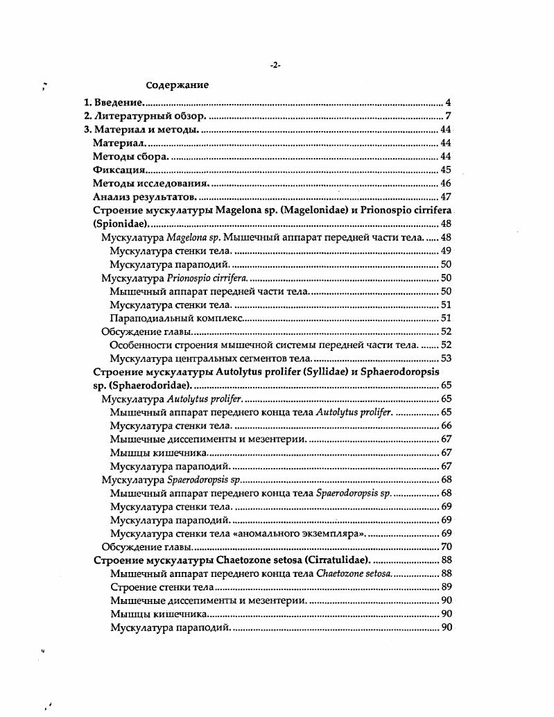 "плотно прилегают другу к Дру1у. Вентральные валики также состоят из небольших пучков. ТегеЬеШбае рис. Продольные мышцы образованы небольшими пучками, не контактирующими друг с другом. Они лежат на дорсальной, вентральной и латеральных сторонах. ИЬгещйс1ае рис. Как принято считать, кольцевая мускулатура имеется у всех многощетинковых червей и располагается над продольными валиками. Традиционно все поперечно ориентированные волокна, обнаруженные на поперечных срезах, называют кольцевыми мышцами, хотя даже на приведенных в статьях рисунках видно, что это не совсем так. Классическому представлению о соотношении слоев мышц соответствуют такие представители семейств как то МаИашс1ае, С1усепс1ае, СарЦеИс1ае, АгетсоИс1ае С1агк, V, ,. У этих червей поперечные мышцы образуют почти замкнутую окружность, прерывающуюся только в районе инраэпителиально расположенной брюшной нервной цепочки рис. Также можно заметить, что в области параподии кольцевая мускулатура менее развита, хотя и не прерывается. Но все же, между сегментами кольцевой мускулатуры нет, это отчетливо видно на фотографии. Вероятно, это является приспособлением для большей подвижности и облечения сочленения между сегментами. Кольцевая мускулатура прерывается в области параподии трансверсальная мускулатура. Такое строение мы можем наблюдать у амфиномид МагБс1еп ЬасаШ, рис. Шторха у нереид и теребеллид. Трансверсальные мышцы имеются только на дорзальной стороне. 