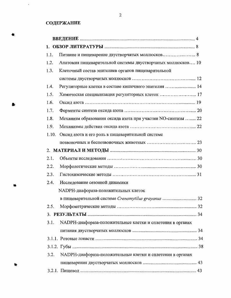 "1.1. Питание и пищеварение двустворчатых моллюсков.