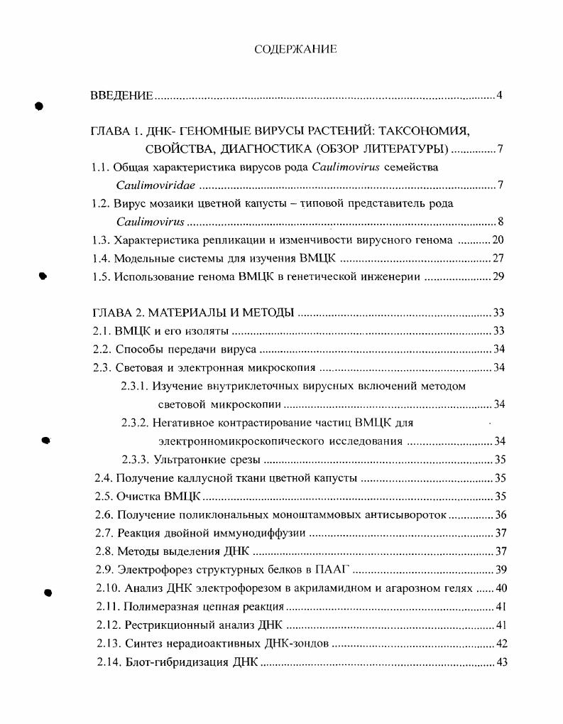 "При работе одновременно с несколькими изолятами ВМЦК особое значение имеет длительное содержание их в растениях и сохранение моноинфекции. Известно, что растения сем. Мы решили показать перспективность длительного содержания ВМЦК i vi в культуре изолированных тканей растений. Такой подход позволил бы сократить дорогостоящие площади теплиц и исключить влияние насекомыхпереносчиков и мало контролируемых факторов на рост растений. Исходя из выше изложенного, цель настоящей работы состояла в характеристике структурных белков и изменчивости вирусного генома, изучении цитопатогенных свойств для определения штаммового разнообразия ВМЦК, а также разработке молекулярных методов их диагностики. Подобрать методику получения препарата обычного штамма ВМЦК ВМЦКо. Оценить возможность поддержания и накопления вируса i vi в культуре каллусной ткани системного хозяина i i. Определить морфологию и размер вирионов ВМЦКо. Дан характеристику ВМЦКиндуцированным внутриклеточным включениям и определить места их локализации. Изучить ультраструктур и ые изменения в клетках инфицированных растений. Получить антисыворотку против ВМЦКо от различных животныхпродуцентов специфических антител. Выявить родо, видо и штаммоспецифичсскис эпитопы капсидных белков ВМЦК и ВМГ. Отработать методику выделения нуклеиновой кислоты вируса, определить ее тип и размер. Подобрать структуру олигонуклеотидных праймеров для амплификации гена белка цитоплазматических включений ВМЦК на основе известных нуклеотидных последовательностей вируса. Провести молекулярногенетический анализ изменчивости дальневосточных изолятов ВМЦК. Разработать вариант нерадиоактивной блотi ибридизании для детекции I 1,К. Разработать систему диагностики ВМЦК с помощью Г1ЦР. ГЛАВА . Согласно последнему седьмому докладу МКГВ вес двухцепочечные ДНКсодержащие вирусы растений объединяют в одно семейство ivii, в которое наряду с родом ivi включаются еще 5, общей численностью около видов табл. V , . Все вирусы сем. В основе их группирования, главным образом, лежит особенность структуры геномов размер, расположение и количество ОРС и их репликации , v, . Из табл. Vi vi, отличаются по морфологии частиц. Кроме того, они не формируют цитоплазматических включений. Название рода ivi образовано от названия типового представителя i i vi. Род немногочислен и включает 9 видов и 4 возможных членов рода. Вирионы каулимовирусов изометрические частицы с диаметром около нм, без оболочки Цит. Краеву, . Симптомы растений, инфицированных каулимовирусами, чаще всего представляют собой мозаичную крапчатость, хлороз жилок. Нередко заболевание сопровождается задержкой роста растения, искривлением листовой пластинки i, , . В природе распространение каулимовирусов осуществляется преимущественно с помощью тлей, насекомых с колюшесосущим ротовым аппаратом, полуперсистентно Гиббс, Харрисон, . Отдельные виды передаются прививкой , iv, i . В лабораторных условиях помимо насекомыхпереносчиков передача осуществляется механической инокуляцией. В клетках инфицированных растений вирусы рода ivi образуют округлые цитоплазматические включения, состоящие из белкового матрикса и массы вирионов Гольдин, . Антигенное родство установлено лишь между некоторыми видами рода , . В целом, большинство видов были описаны лишь в последние лет. Отсутствие полных сведений о структуре геномов и белковом составе сдерживает работу по созданию таксономической структуры вирусов данного семейства. История открытия и изучения. В г. Т. Шульц сделал первое сообщение о мозаичной болезни китайской капусты, горчицы и турнепса , . Первые сообщения о массовом вирусном поражении разных видов капусты цветная, кормовая, кочанная, кольраби в СССР появились в х гг XX в. Так, в г. Азербайджане, в Средней Азии в г. Краснодарском крае Власов и др. За пределами СССР вирусное поражение капуст известно с начала XX в. ВМЦК первоначально имел несколько видовых названий i vi 3, i i vi, i vi, vi В , . На первых этапах работы при идентификации вируса, исследователи столкнулись с рядом затруднений, так как мозаичное заболевание растений сем. 