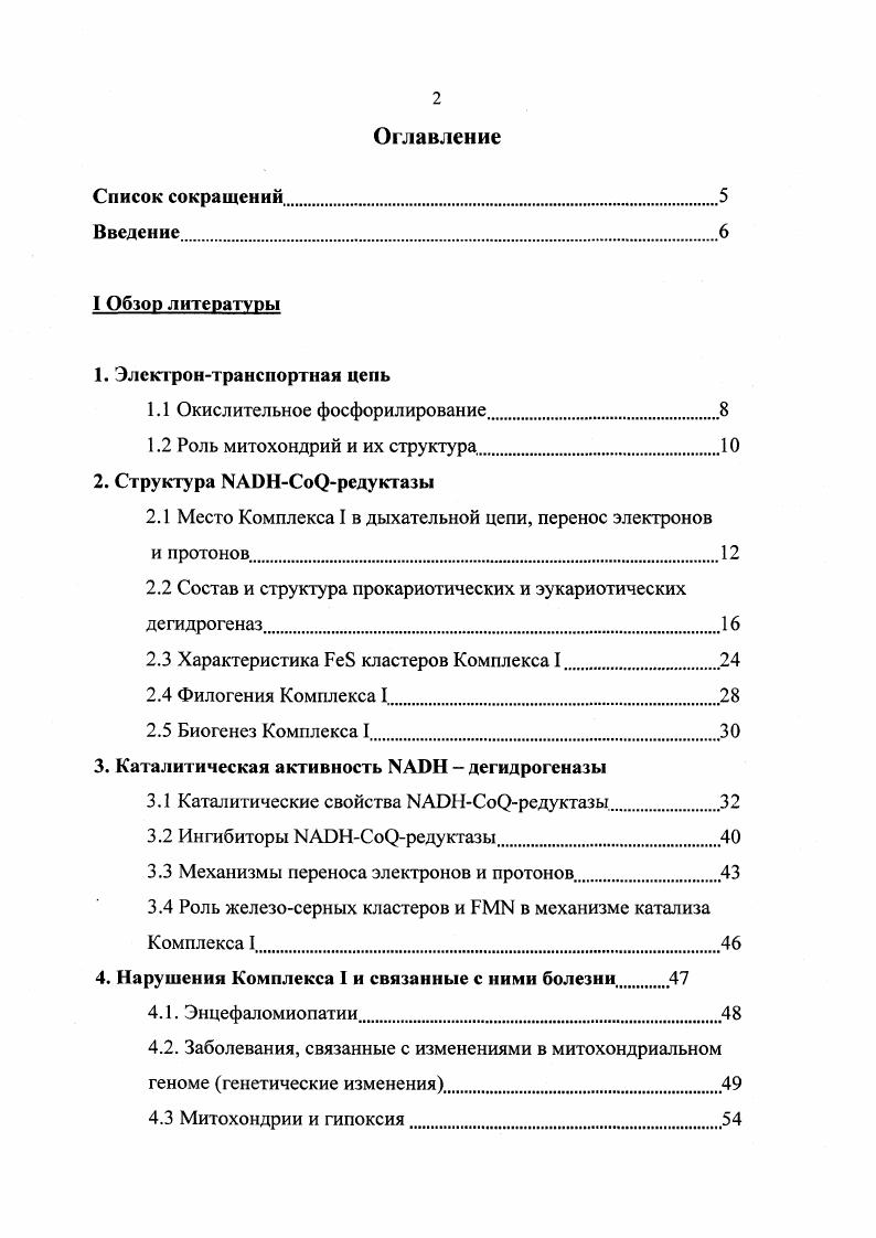 "1.1 Окислительное фосфорилирование.