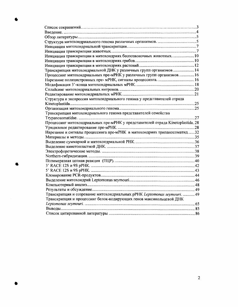 "Структура митохондриального генома различных организмов.