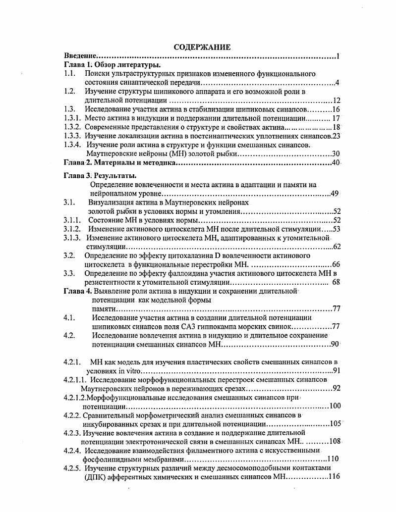 "1.3. Исследование участия актина в стабилизации шипиковых синапсов 