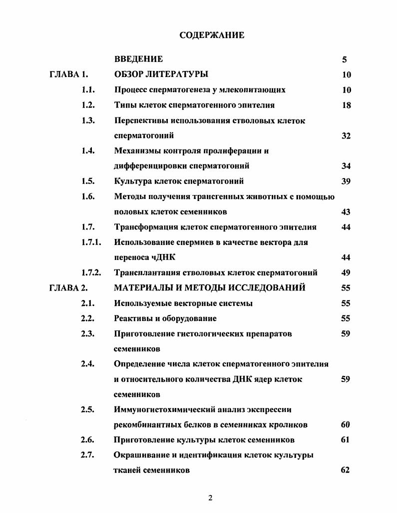 "Процесс сперматогенеза у млекопитающих 