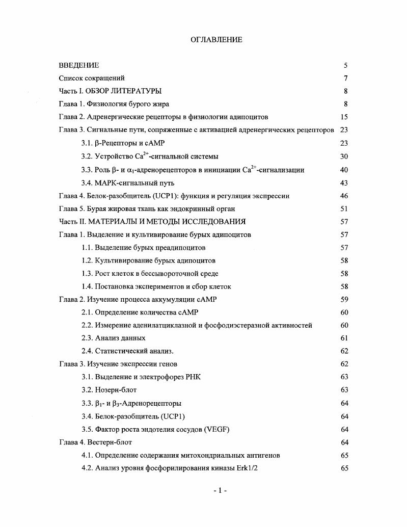"Глава 2. Адренергические рецепторы в физиологии адипоцитов 