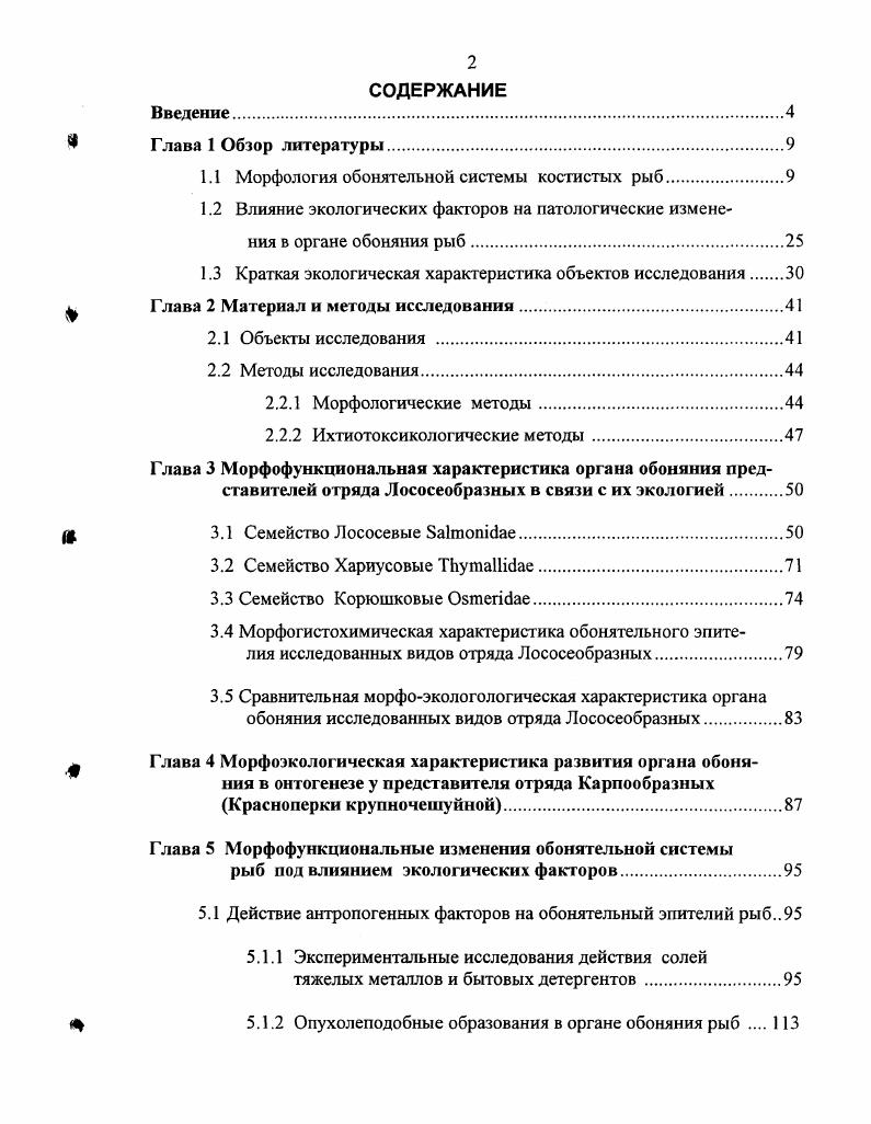 "1.1 Морфология обонятельной системы костистых рыб.