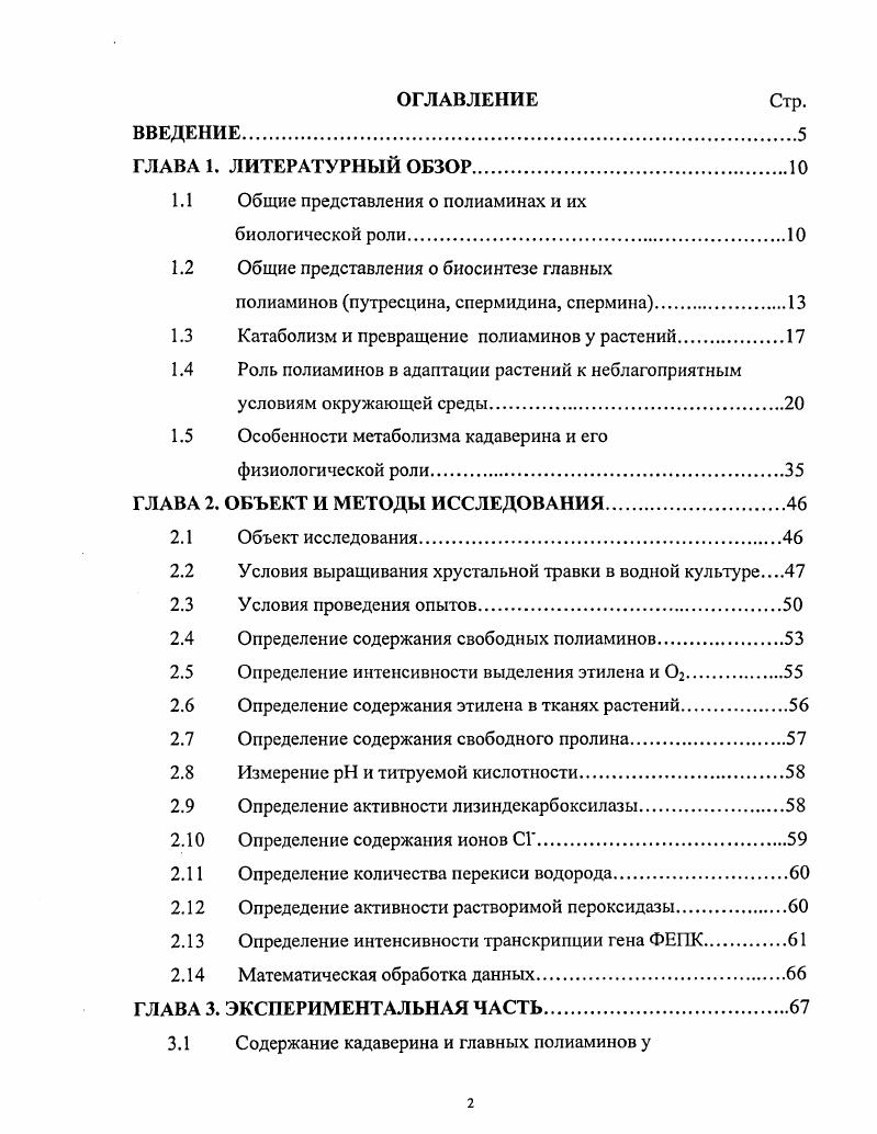 "1.1 Общие представления о полиаминах и их