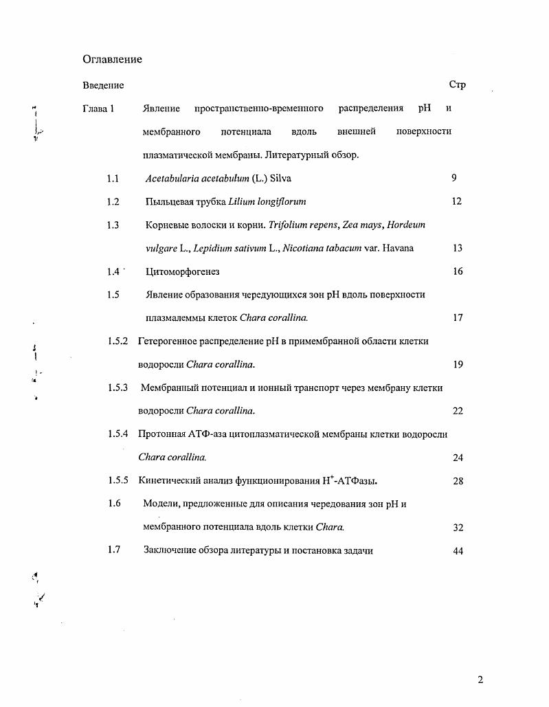 "1.3 Корневые волоски и корни. ii ,  тау , 
