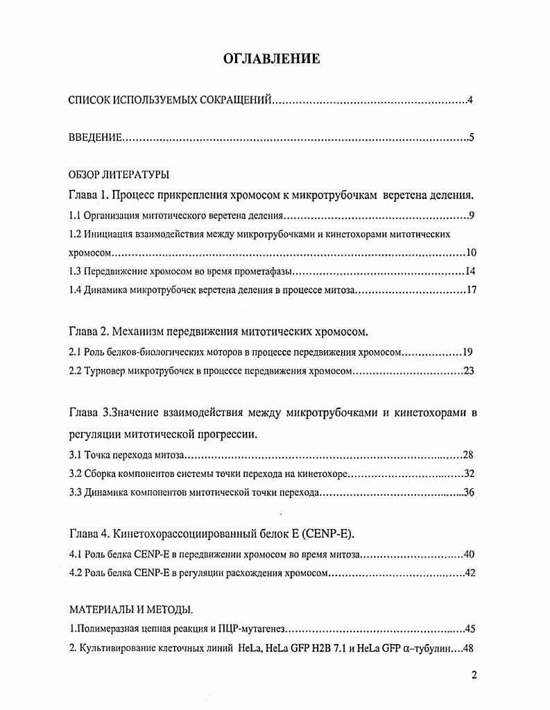 "Глава 1. Процесс прикрепления хромосом к микротрубочкам веретена деления.