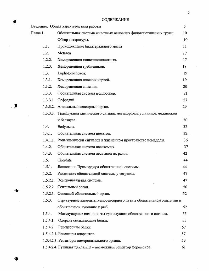 "1.1. Происхождение билатерального мозга 