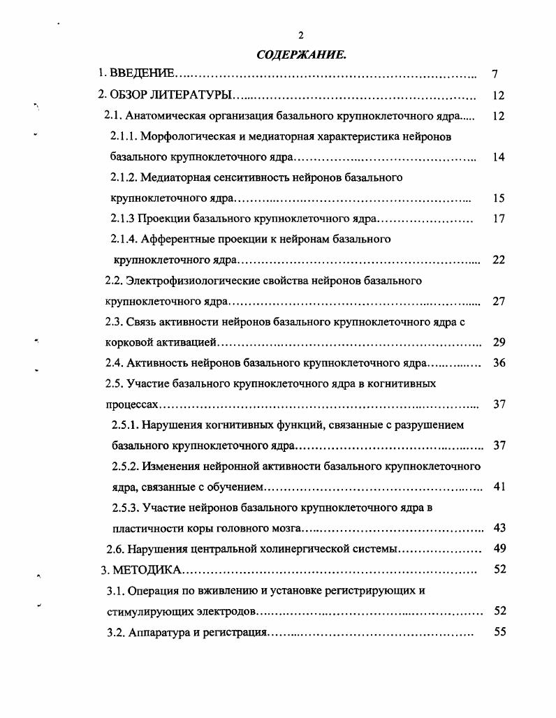 "2.1. Анатомическая организация базального крупноклеточного ядра 
