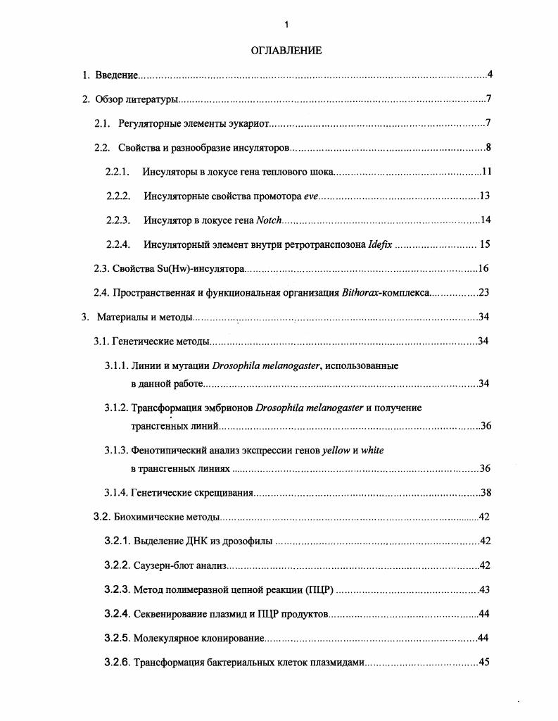 "2.1. Регуляторные элементы эукариот