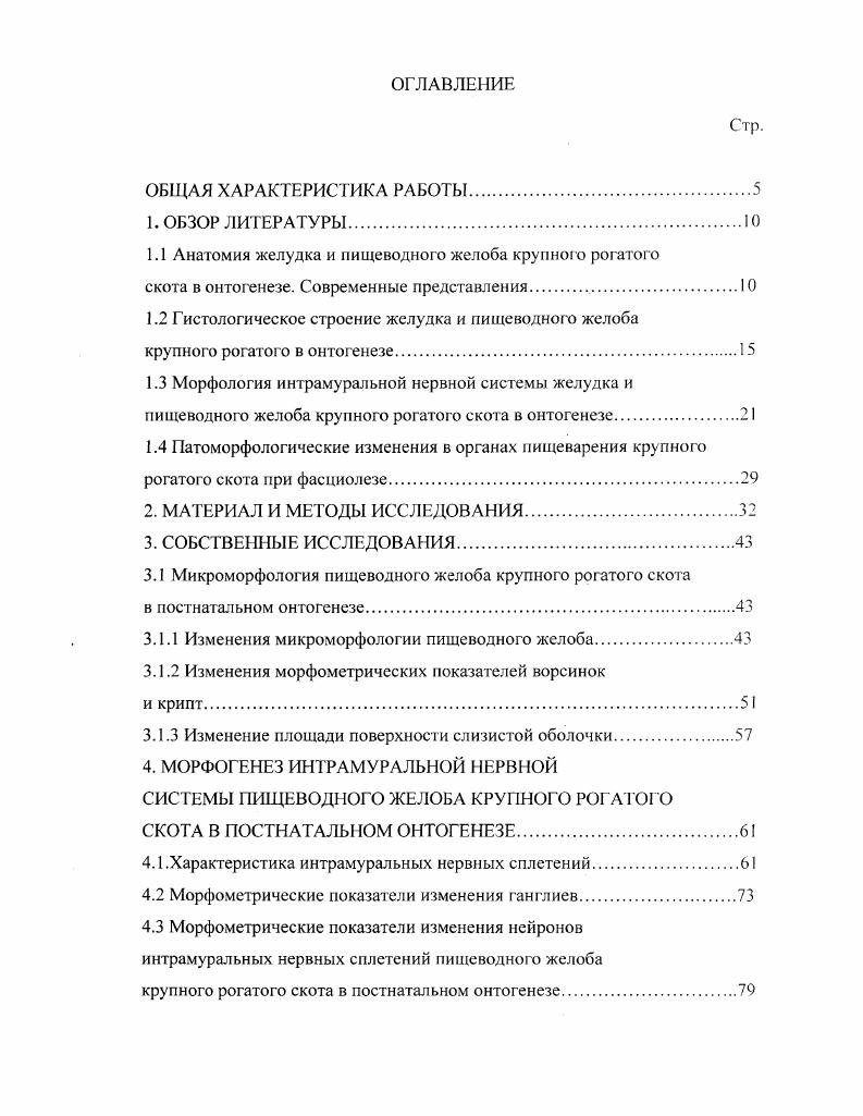 "1.1 Анатомия желудка и пищеводного желоба крупного рогатого