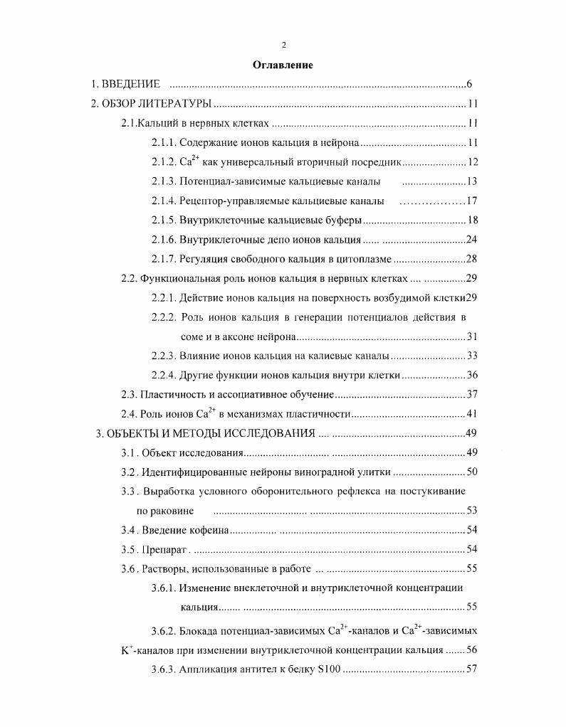 "2.1.1. Содержание ионов кальция в нейрона.