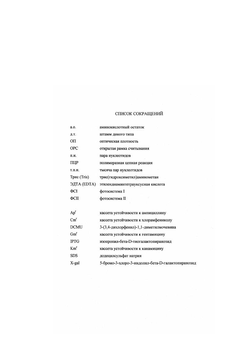 "2.2.3. Казеинолитичсскис пептидазы С1р 
