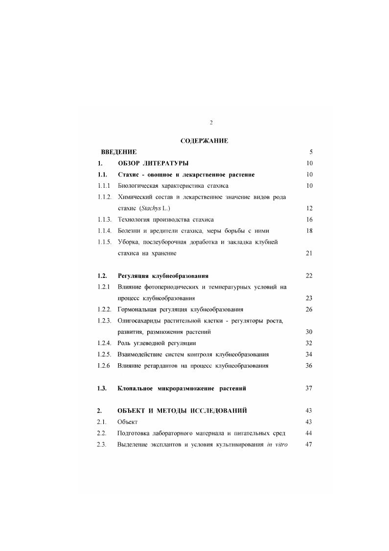 "1.1. Стахнс  овощное и лекарственное растение 