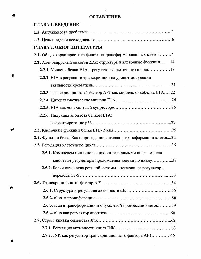 "2.1. Общая характеристика фенотипа трансформированных клеток