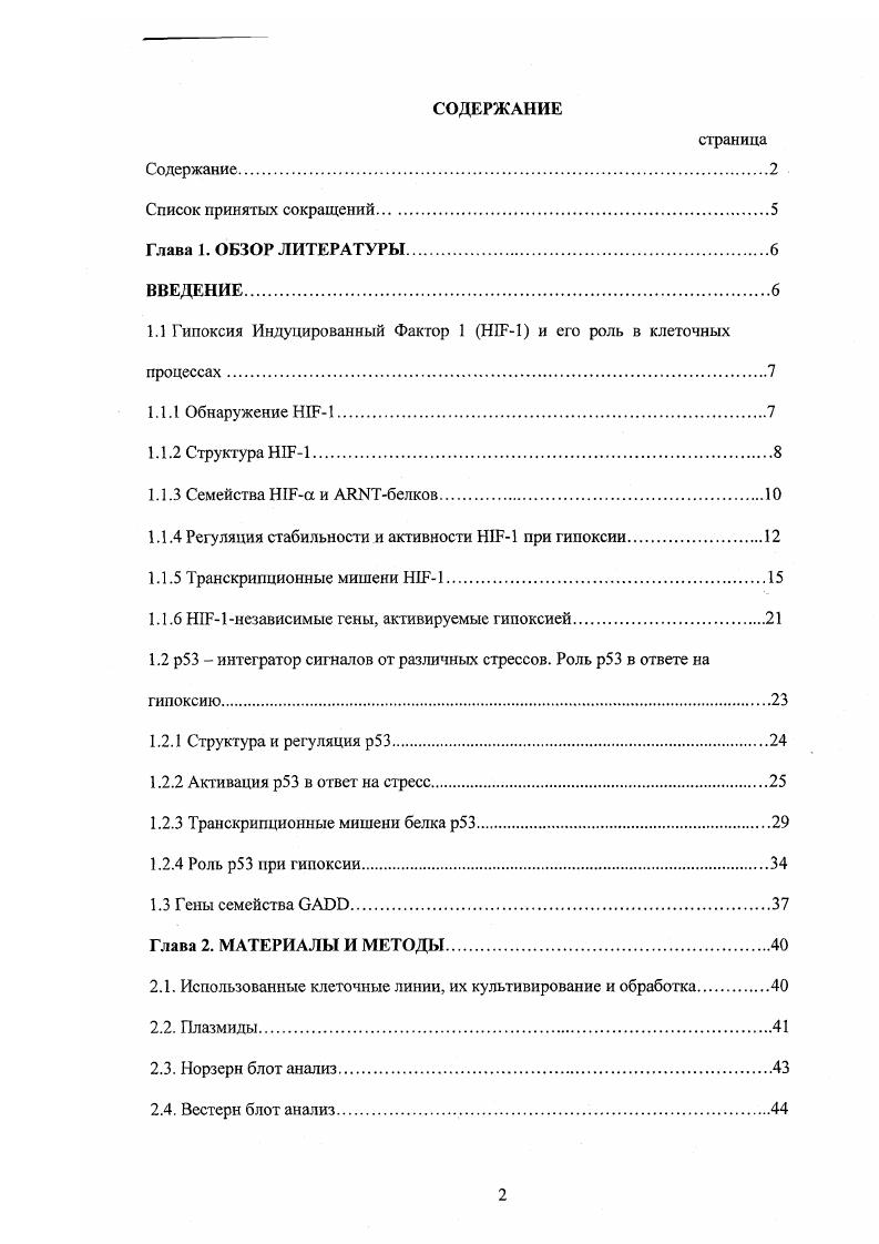 "1.1 Гипоксия Индуцированный Фактор 1 НПМ и его роль в клеточных процессах.