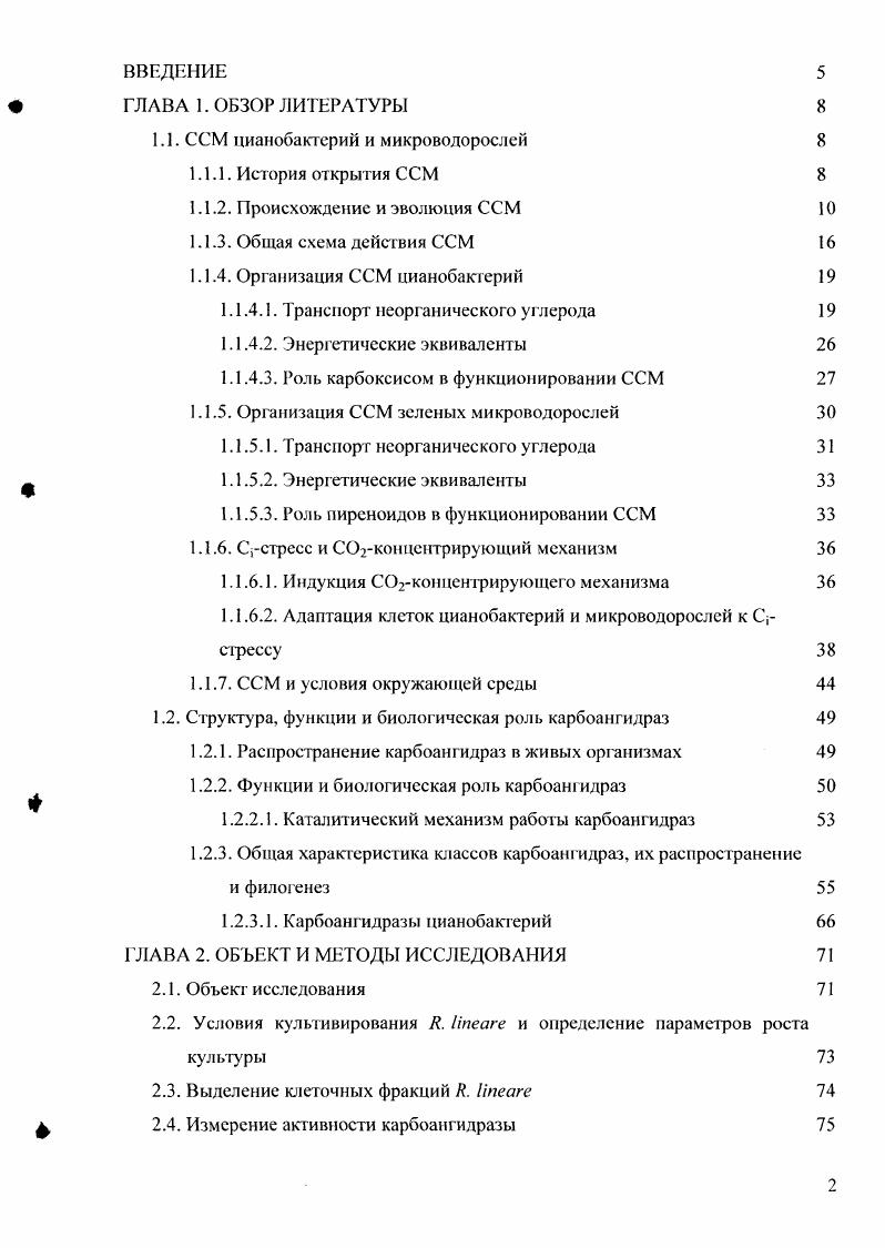 "1.1. ССМ цианобактерий и микроводорослей 