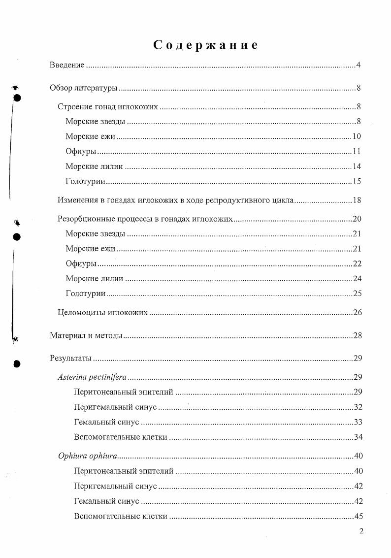 "Изменения в гонадах иглокожих в ходе репродуктивного цикла.
