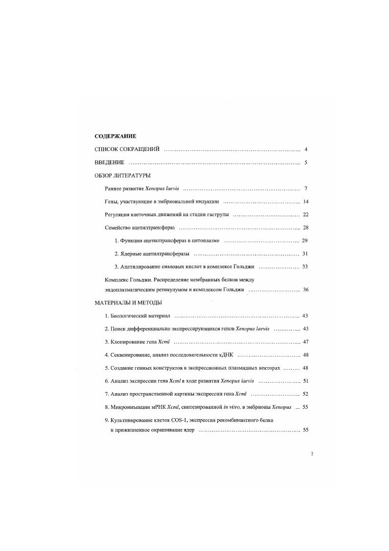 "Гены, участвующие в эмбриональной индукции . 