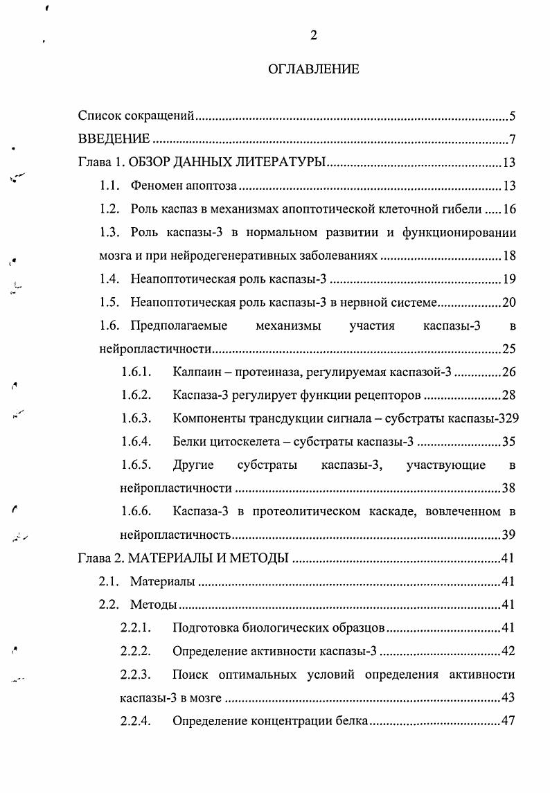 "1.2. Роль каспаз в механизмах апоптотической клеточной гибели