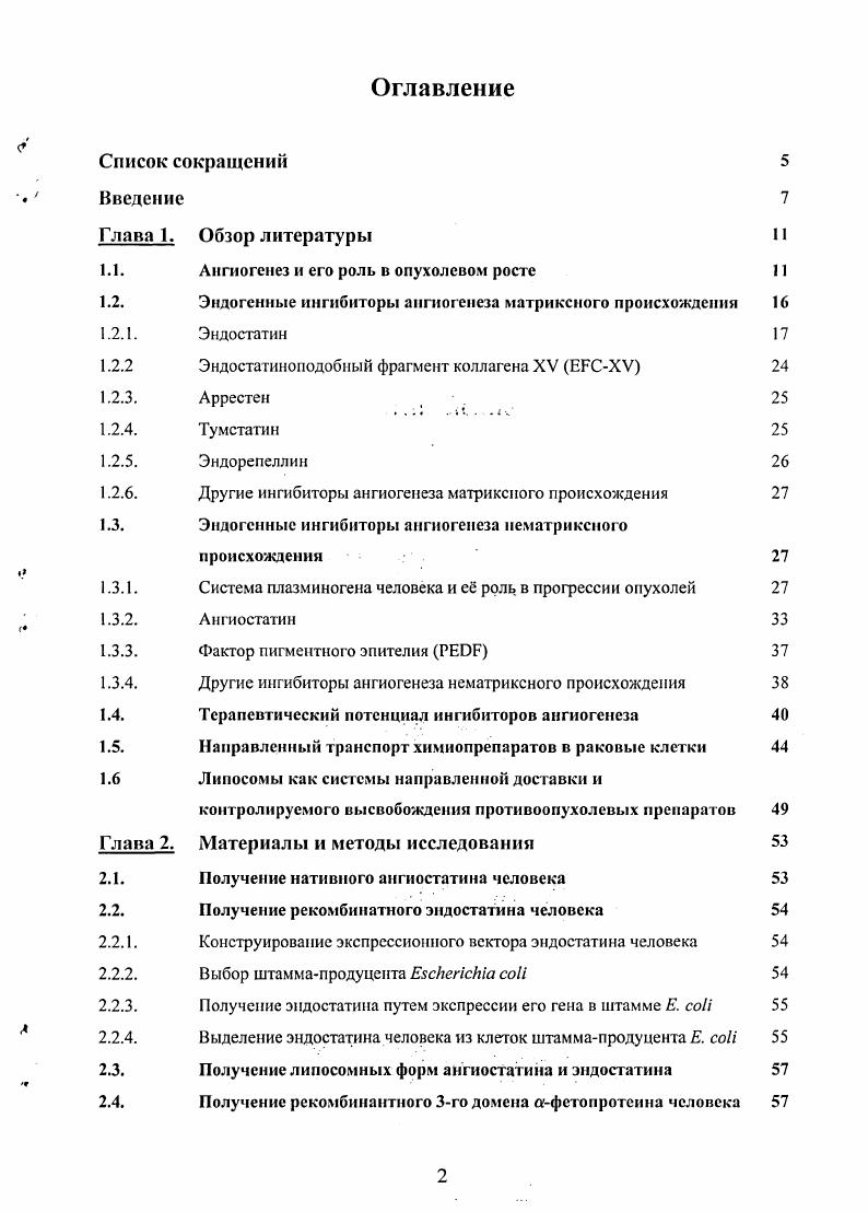 "1.1. Ангиогенез и его роль в опухолевом росте