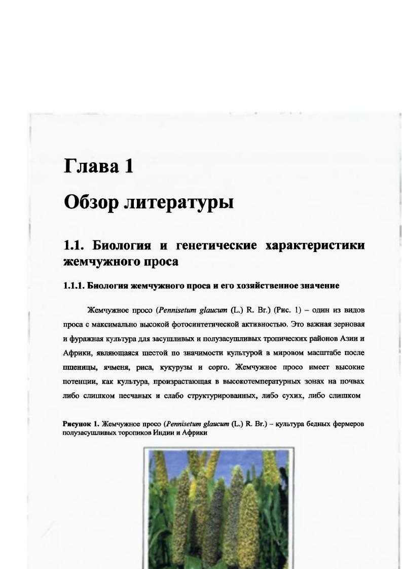 "Список иллюстративного материала.IIIVI