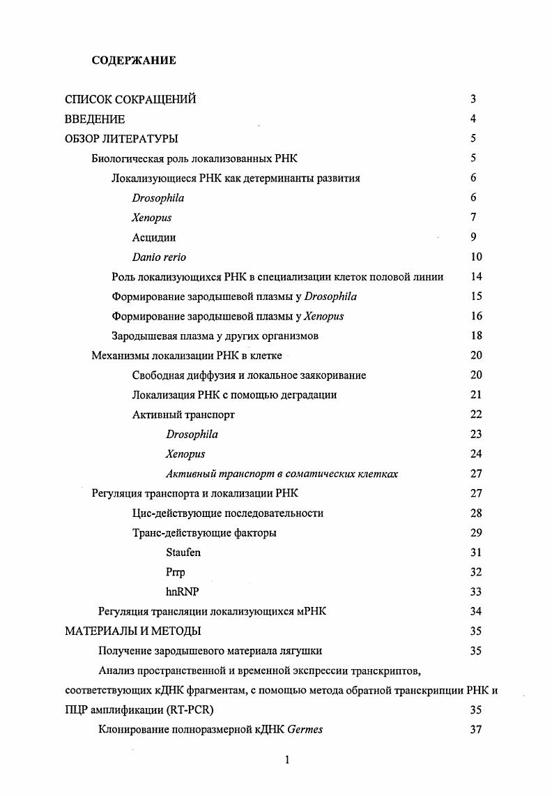 "Биологическая роль локализованных РНК 