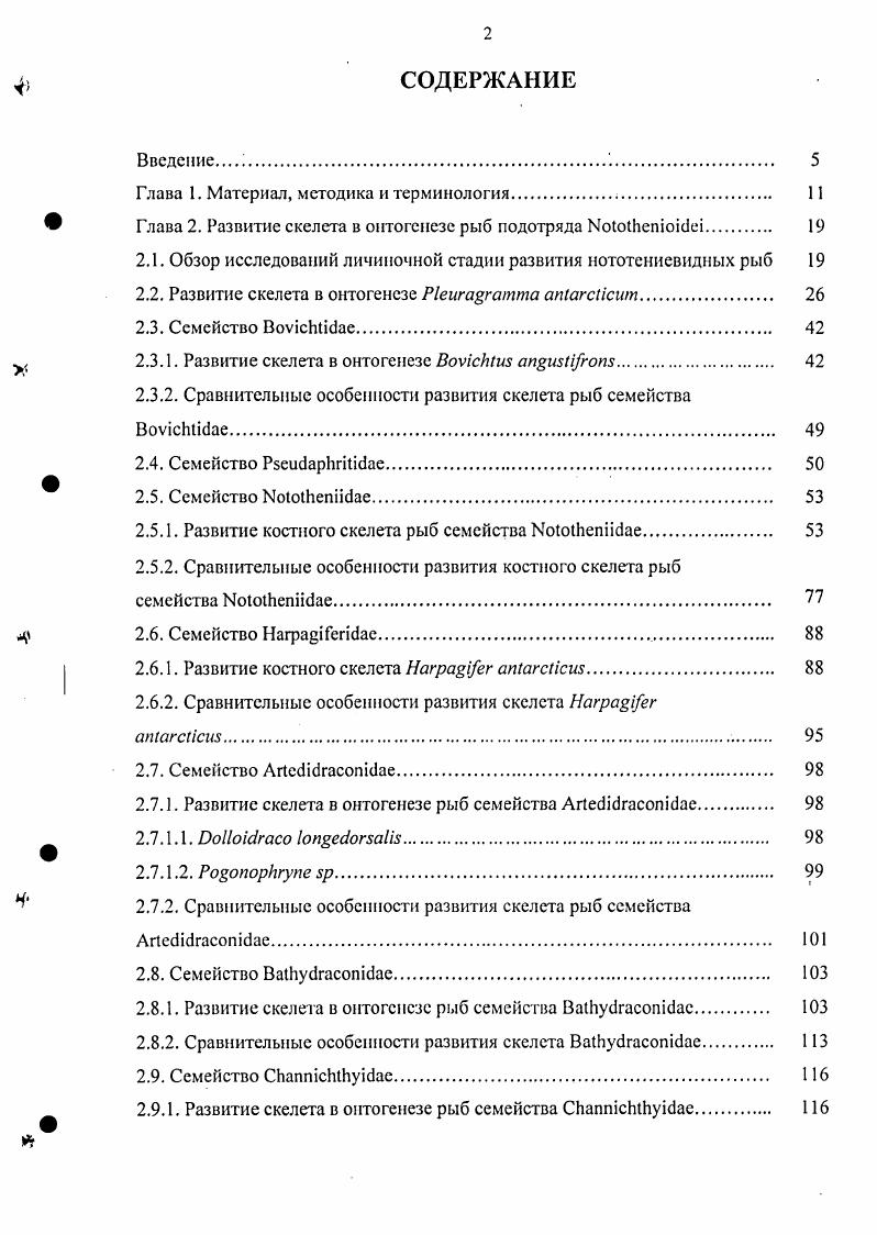 "При достижении длины мм они удлиняются, и между ними вдоль дорзального края радиального хряща появляются три межрадиальные отверстия. Четвертое межрадиальное отверстие лежит между и верхним i, сливающимися между собой у особи . При достижении длины . У взрослых рыб сохраняется только одно межрадиальное отверстие между нижними радиалиями, или их вообще нет. Оно быстро растет вперед и окружает скапулярное отверстие снизу, заключая его в себя при достижении длины . Затем оно быстро разрастается, завершая свое развитие у особи . В это время i уже имеет хорошо развитые передний и посткоракоидпый отростки, в основании последнего расположено маленькое посткоракоидное отверстие. У взрослых рыб i сочленяется с нижней i через полоску хряща. Личинка мм имеет лучей грудного плавника, у личинок мм число лучей возрастает до , что соответствует их числу у взрослых рыб. Осевой скелет. Из позвонков первым отмечено у личинки мм. Окостенение охватывает i от к i 3 и 4, затем , и позднее гемальиые и невральные дуги двух преуральных позвонков. Второй центр окостенения отмечен позади iii. Здесь наблюдается окостенение невральных дуг у личинки мм и гемальных у личинки мм, происходящее в каудальном направлении. Полное развитие невральных и гемальных дуг с хорошо развитыми невральными и гемальными отростками всех позвонков отмечено у особи мм. У взрослых рыб невральные и гемальные дуги развиты довольно слабо, а их невральные и гемальные отростки сильно укорочены , Балушкин, . Первый центр появляется у личинки . Это типичный аутоцентр, сформированный без участия фиброзной части оболочки хорды и i i, , i, . Более крупные особи мм имеют уже несколько ценгров в передней части хорды и также несколько центров на уровне последних лучей второго спинного плавника. Костные пластинки лежат на латеральной поверхности хорды обычно одна над другой и соединяются по средней линии тела. Затем пластинки обеих сторон сливаются дорзально и вентрально и формируют костное кольцо вокруг хорды рис. Формирование большинства центров завершается при достижении длины . Из них только туловищные центры не соединяются вентрально до достижения длины . У особи . У особи . В это время к парапофизам позвонков прикрепляется 6 плевральных ребер. Позднее их число постепенно возрастает до 9 у взрослых рыб, причем последние ребра не прикреплены к парапофизам и свободно лежат в миоссптах. Число эпнплевральных ребер у взрослых рыб достигает . Появление проксимальных птсригиофоров спинного и анального плавников отмечено на уровне середины второго спинного и анального плавников, анальных у личинки мм, спинных у личинки . Затем окостенение птсригиофоров распространяется вперед и назад. Позднее других происходит окостенение птсригиофоров первого спинного плавника. У взрослых рыб развиваются специальные дорзальные сочленовные поверхности передних птеригиофоров для прикрепления дистальных птеригиофоров, остающихся почти полностью хрящевыми, за исключением небольших парных костных пластинок па их латеральной поверхности. Скелет хвостового плавника рис. У личинки мм задний конец хорды уже изогнут кверху. Все гипуральные элементы, и i хрящевые. В гипаксиальной лопасти отмечена лишь одна . Затем оно с двух сторон обрастает хорду в вентральном направлении и приобретает форму конуса с овальным отверстием снизу, в котором располагаются верхние концы хрящевых гипурапий. Это отверстие сохраняется до достижения длины . Одна из изученных особей мм имеет двойное в виде конусов, вложенных один в другой. У личинки мм обнаружены хрящевые i , 3, 4, и две хрящевые i. У личинки мм хрящевые i 3 и 4 сливаются, появляются три костных i , 3, 4, из них две последние в эпаксиальной лопасти. Три хрящевые i. У личинки мм гипаксиальная и эпаксиапьная лопасти хвоствого плавника имеют по одной с нсокостепевшими проксимальными концами, произошло слияние i 3 и 4. Костные i впервые обнаружены у особи . Число i у . Образование двух или одного , повидимому, являегся как результатом закладки 2 хрящевых i, так и слияния костных i друг с другом, следы которого прослеживаются у особей и 2. Балушкии, и не обнаружены у личинок, однако у особи . 