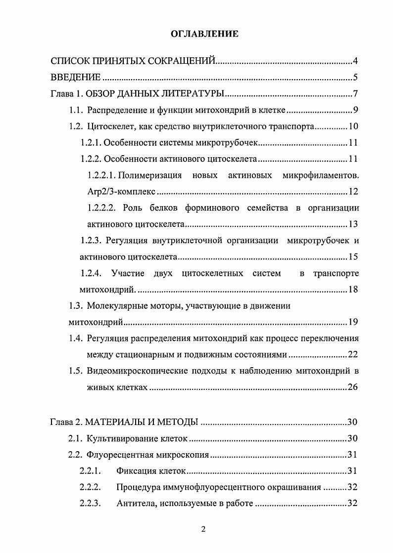 "1.1. Распределение и функции митохондрий в клетке.
