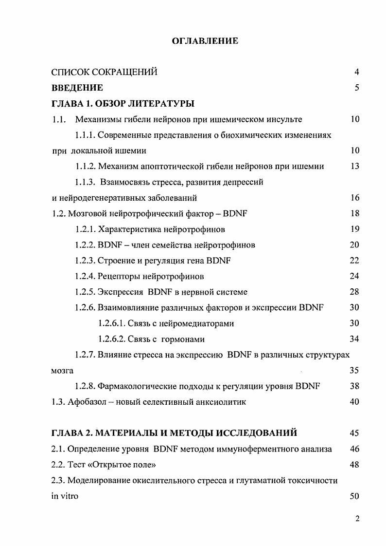 "1.1. Механизмы гибели нейронов при ишемическом инсульте 