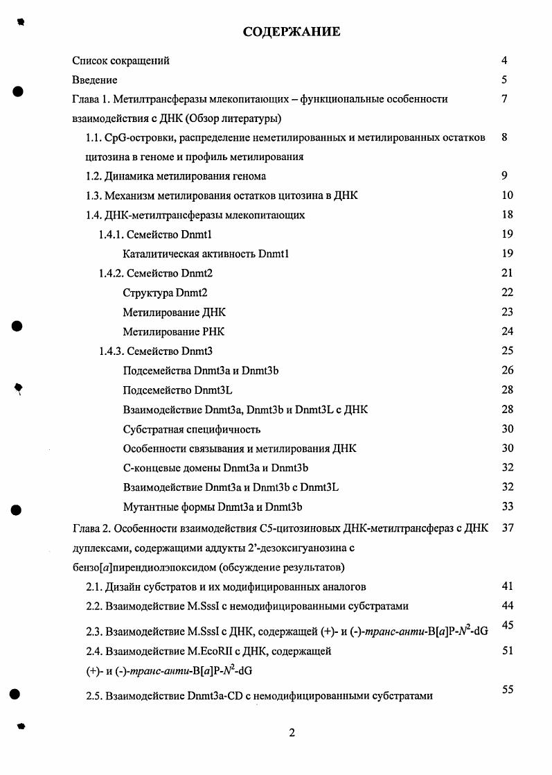 "1.3. Механизм метилирования остатков цитозина в ДНК