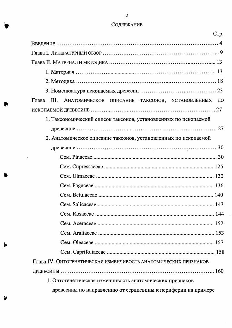 "3. Номенклатура ископаемых древесин.
