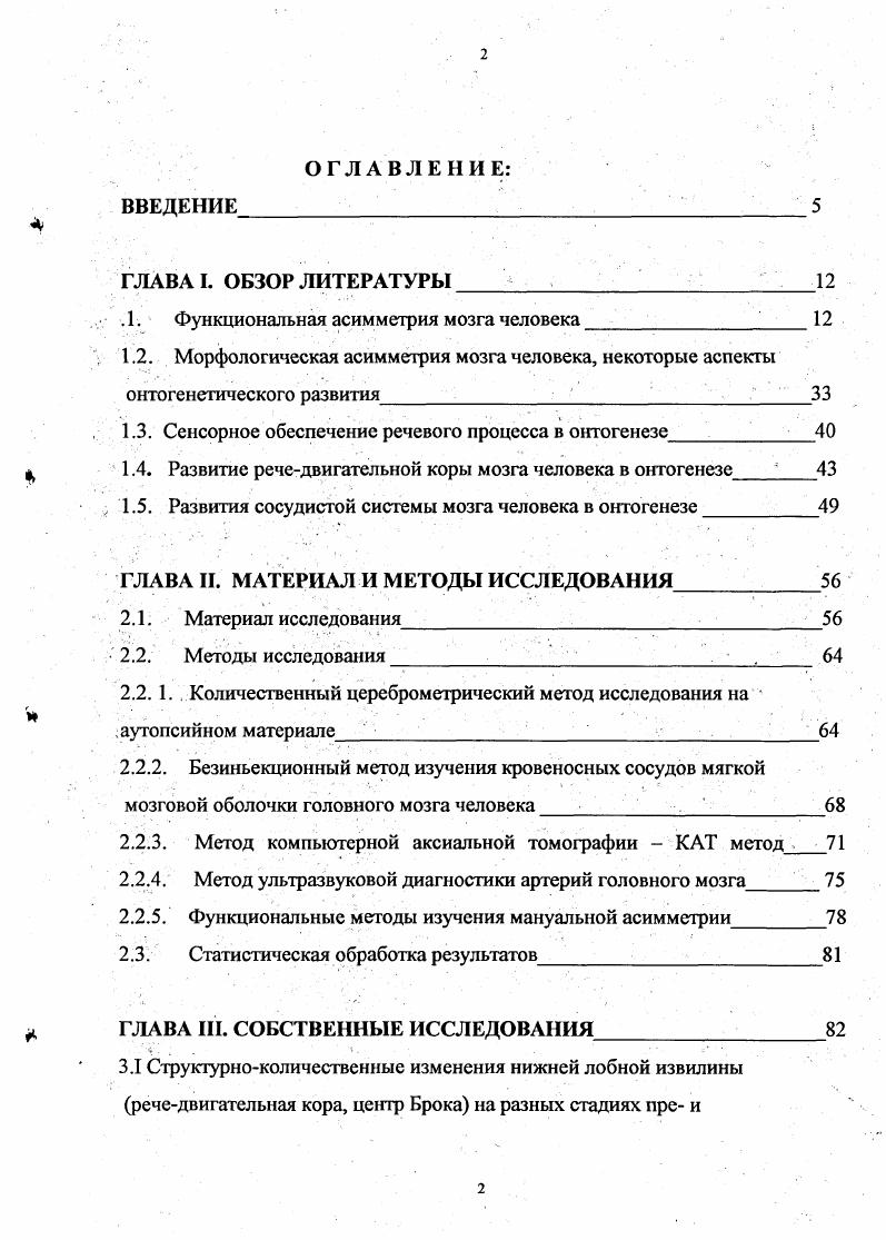 "Л. Функциональная асимметрия мозга человека 