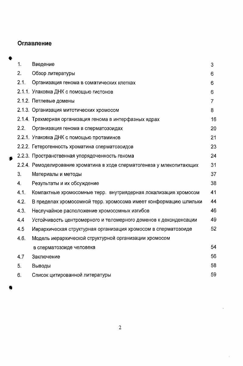 "2.1. Организация генома в соматических клетках