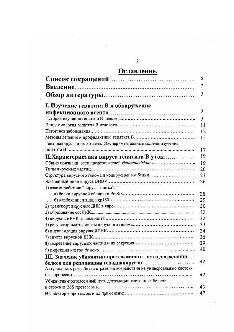 "1.1.1. Краткие сведения о поверхностных поляритонах