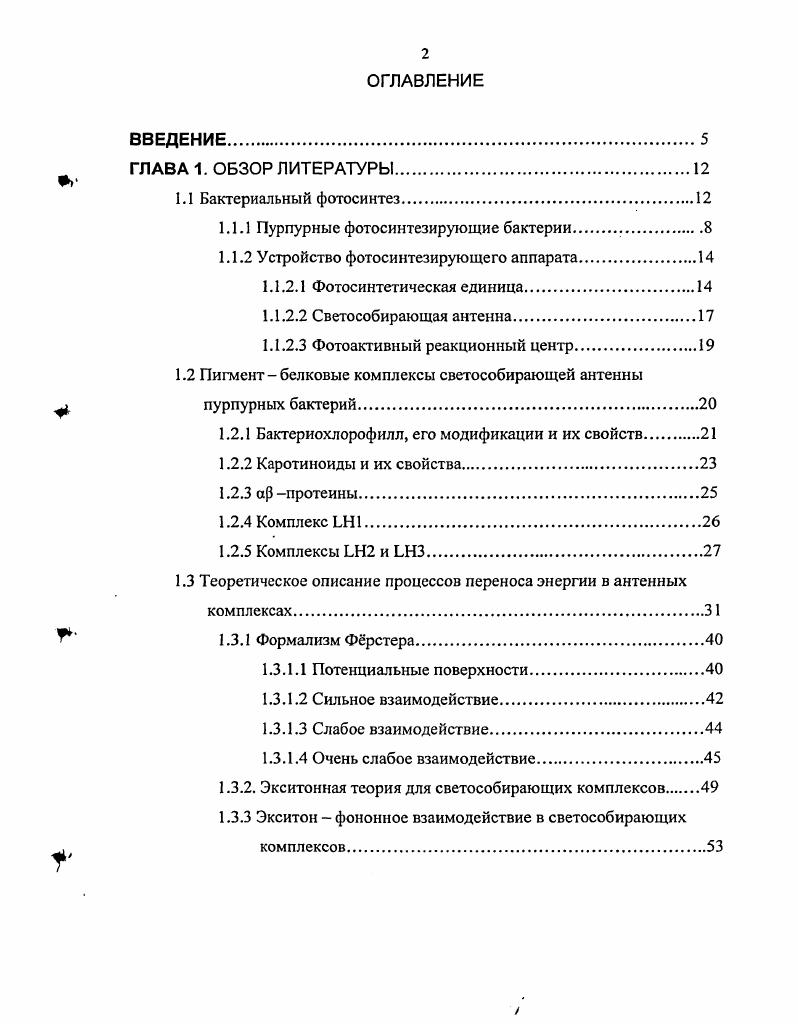 "1.1.1 Пурпурные фотосинтезирующие бактерии.