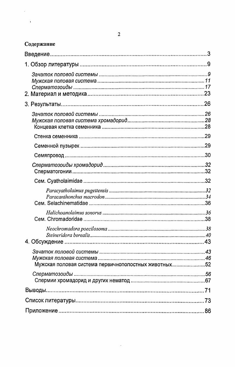 "Концевая клетка семенника