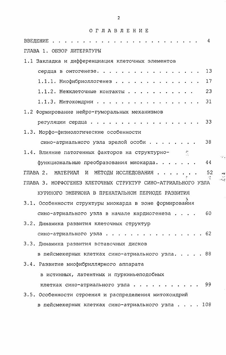 "1.1 Закладка и дифференциация клеточных элементов