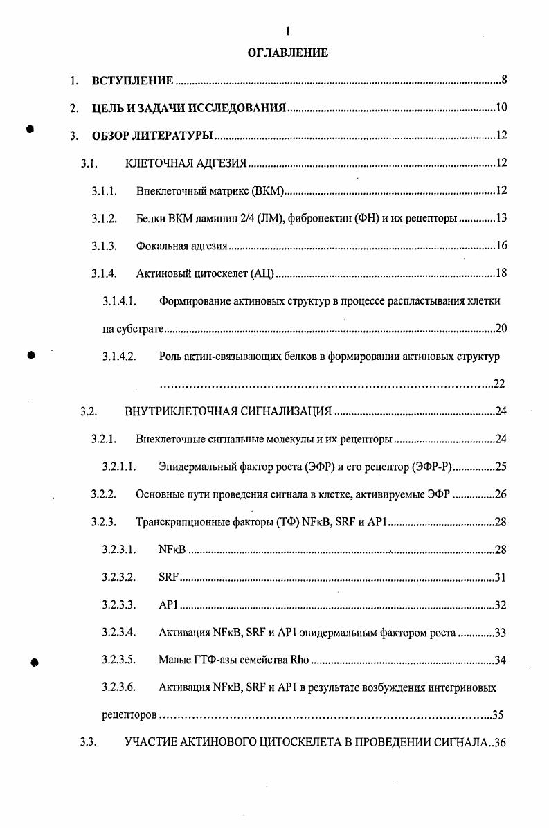 " лмоль и тем, что их концентрация на поверхности клеток в 0 раз больше, чем других рецепторов. Поэтому они могут функционировать кооперативно. В результате клетка отвечает на организованную группу лигандов в матриксе, а не на отдельные молекулы . Кластеры интегриновых рецепторов составляют основу фокальных контактов. Как уже было сказано, кластеры интегриновых рецепторов составляют основу фокальных контактов ФК, через которые осуществляется фокальная адгезия, т. В КМ через ФК. ФК это плоские структуры размером до нескольких микрон в диаметре и часто локализованные на периферии клетки , i, . ФК имеют разную форму в зависимости от степени взаимодействия с ВКМ и осуществляют крепкую фиксацию клеток к субстрату, соединяя филаменты актина с элементами ВКМ и могут, в определнные периоды времени после нанесения клеток на субстрат, состоять, по некоторым данным, более чем из ти различных молекул, присутствующих там постоянно или временно i, i, . На схеме 1 приведены основные участники фокальной адгезии и их пространственные отношения. Показано значение ФК для клеточной миграции, морфогенеза, сигналинга, пролиферации, дифференцировки и др. Сейчас различают несколько вариантов ФК ранние ФК фокальные комплексы, зрелые ФК и поздние ФК фибриллярные комплексы. Каждый из видов ФК характеризуется наличием определнных маркерных белков и другими свойствами. Так, ранние ФК характеризуются наличием паксилипа и винкулииа, расположены на периферии клетки в ламеллоподиях, имеют размер не более 1 мкм. Их образование стимулируются малой ГТФазой . Такие ФК образуются на начальном этапе процесса адгезии клетки к субстрату. Контакт интегриновых рецепторов с субстратом приводит к их кластеризации, рекрутированию к мембране и автофосфорилированию по тирозину киназы фокальной адгезии . К фосфорилированному тирозину присоединяется своим 2 доменом киназа . В дальнейшем эти два фермента фосфорилируют множество других белков, запуская различные сигнальные каскады . V . 