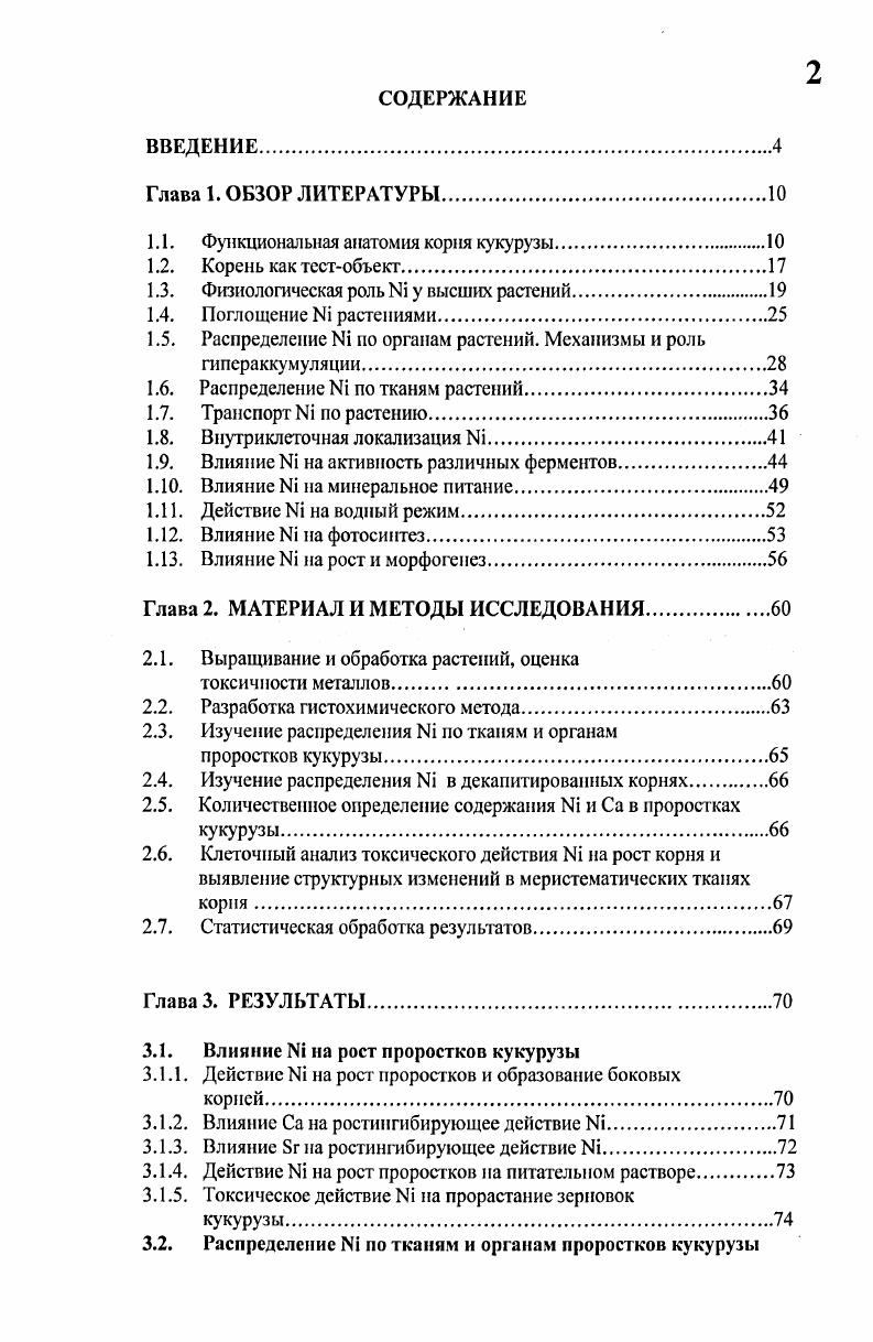 "1.1. Функциональная анатомия корня кукурузы