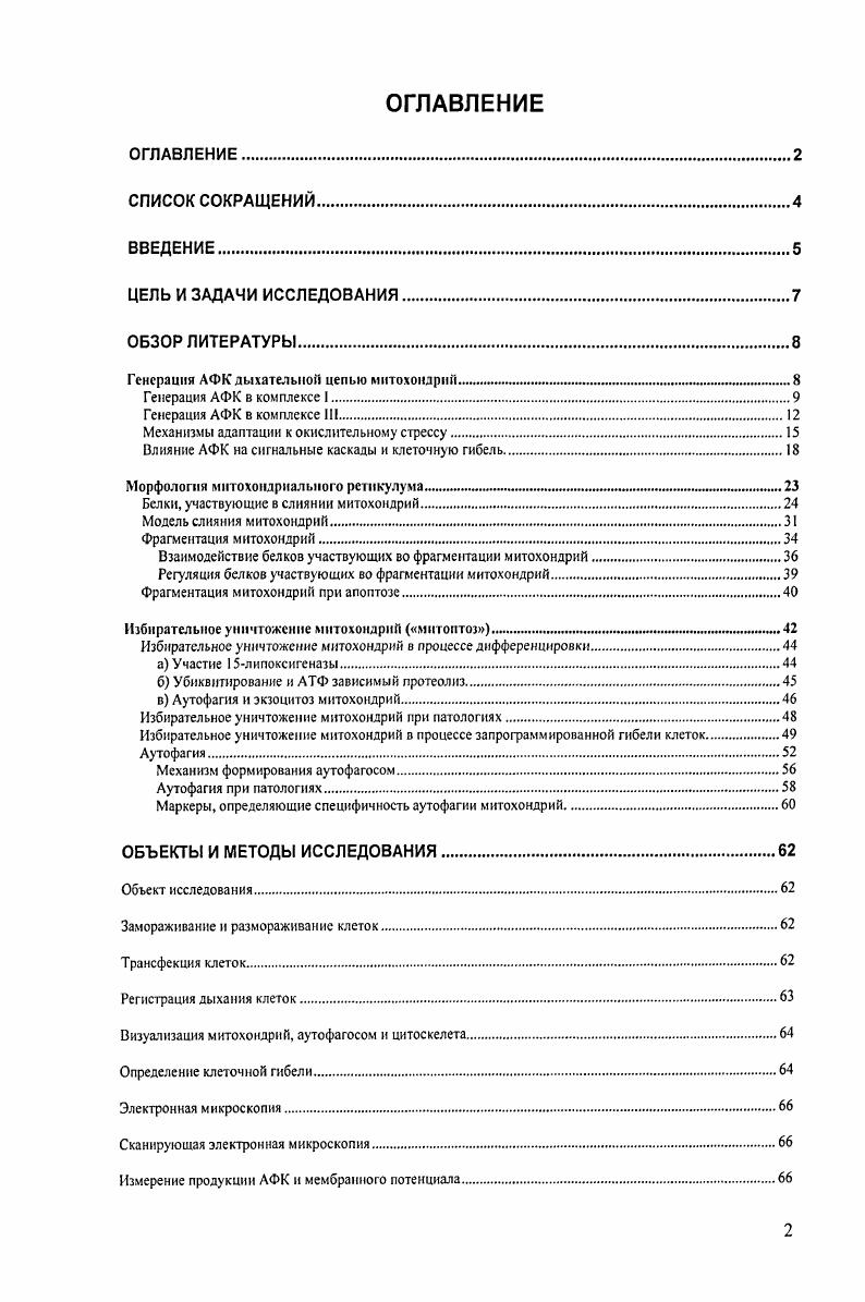 "Генерация АФК дыхательной цепью митохондрий...
