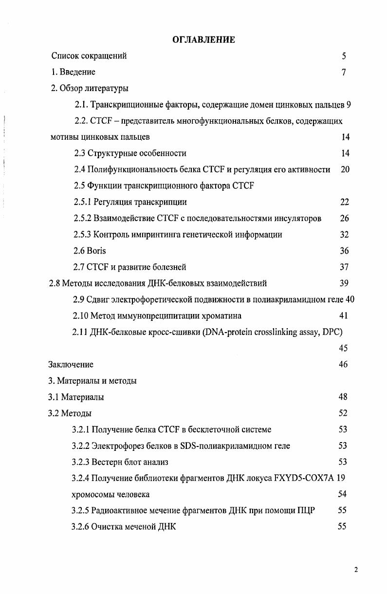 "2.1. Транскрипционные факторы, содержащие домен цинковых пальцев 