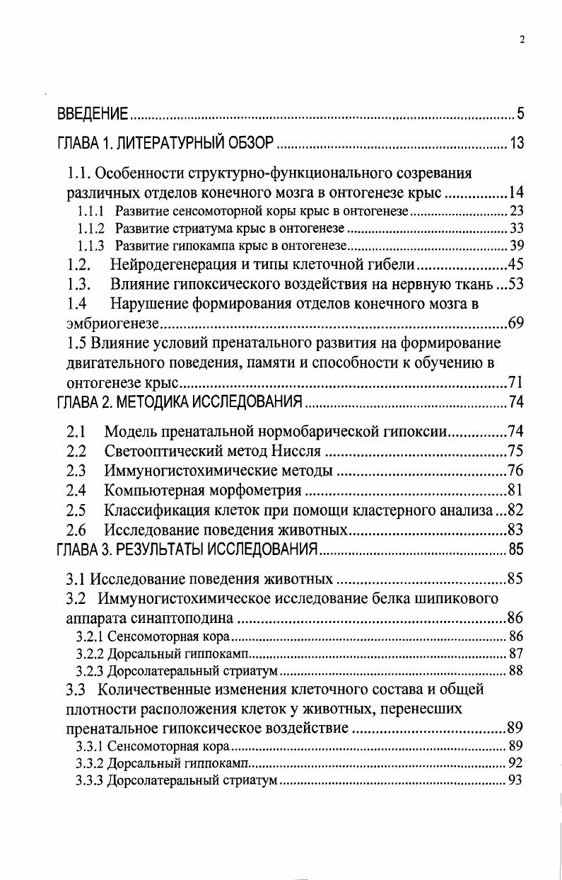 "1.1.1 Развитие сенсомоторной коры крыс в онтогенезе