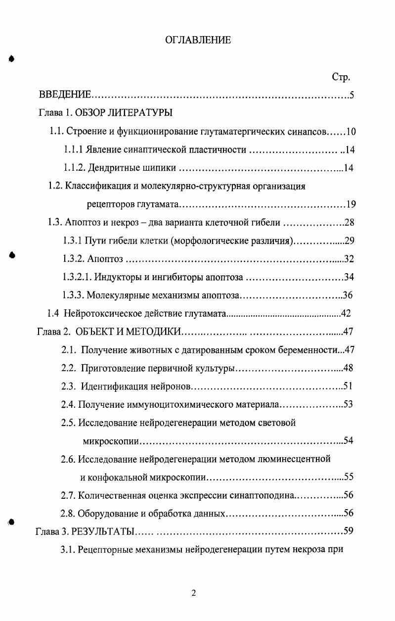 "1.1. Строение и функционирование глутаматергических синапсов 