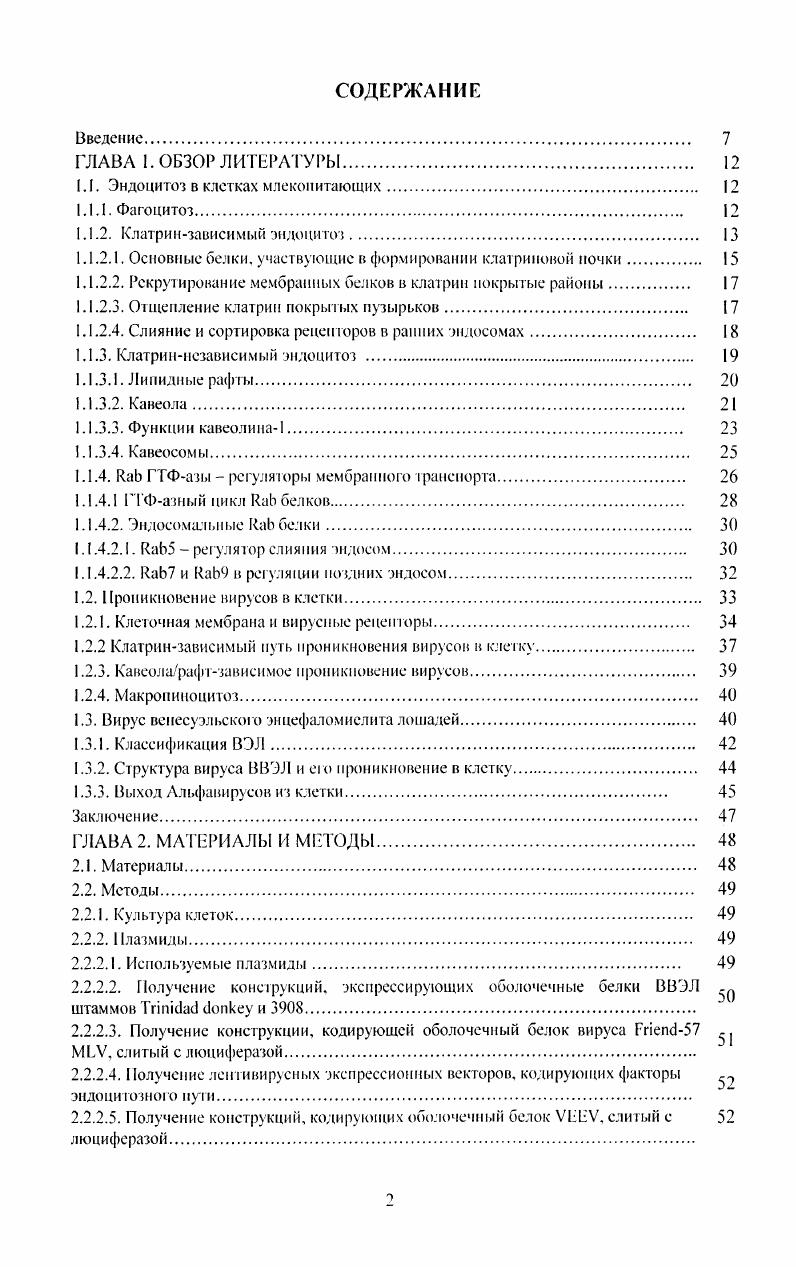 "1.1. Эндоцитоз в клетках млекопитающих. 