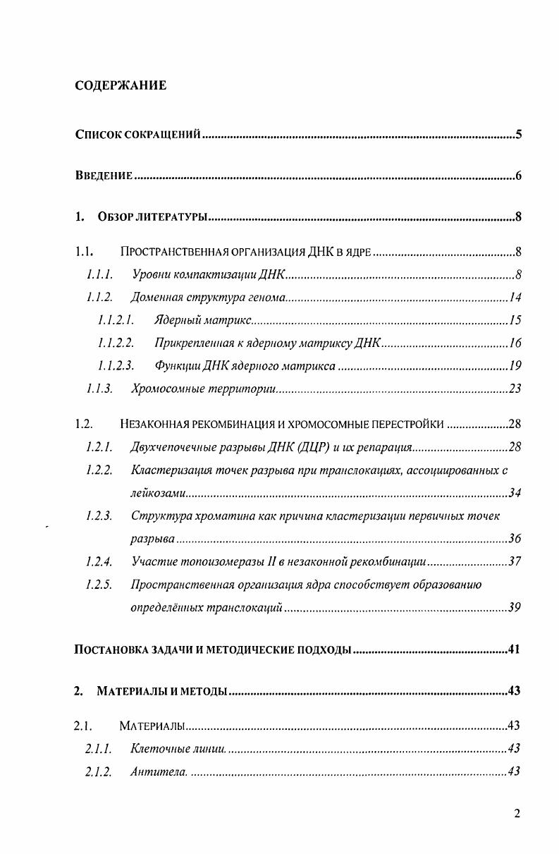 "1.1. Пространственная организация ДНК в ядре
