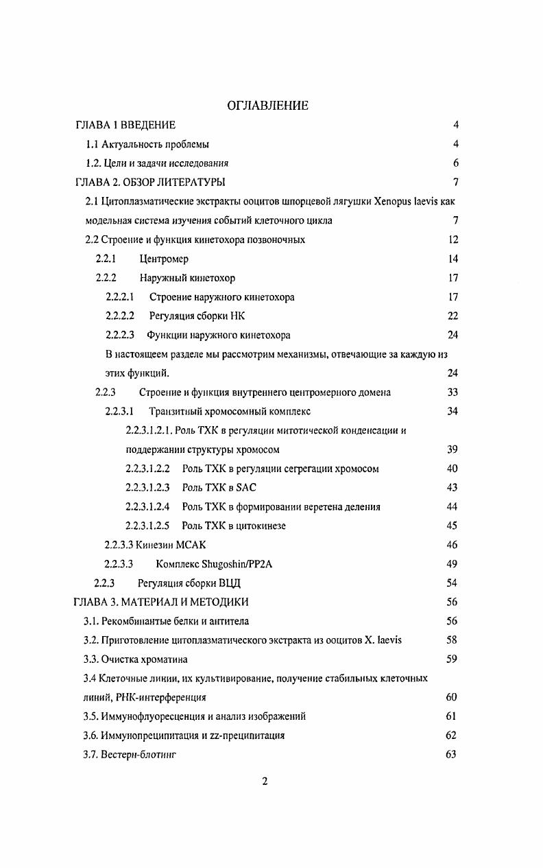 "2.2 Строение и функция кинетохора позвоночных 